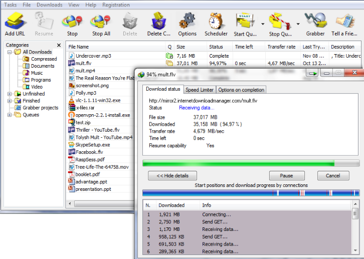 Internet Download Manager windows