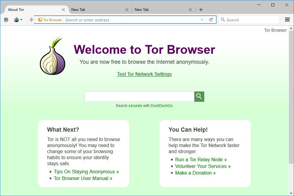 Tor Browser windows