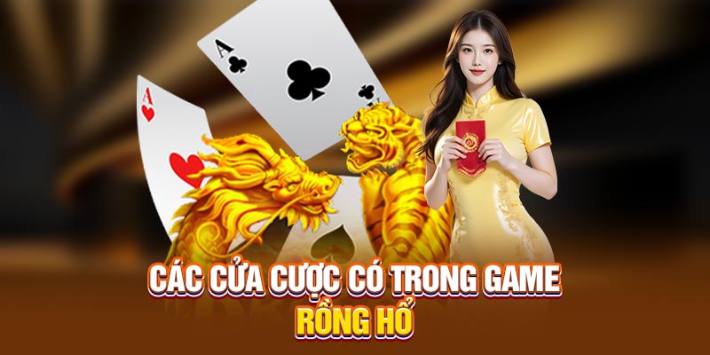 Các cửa cược có trong game Rồng Hổ