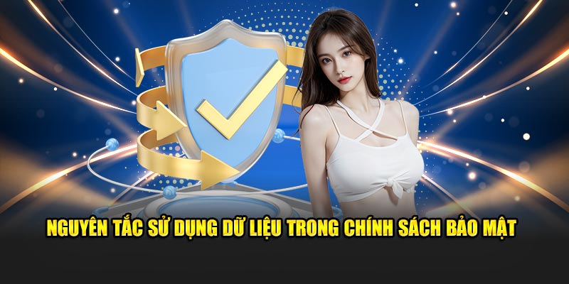 Nguyên tắc sử dụng dữ liệu trong chính sách bảo mật