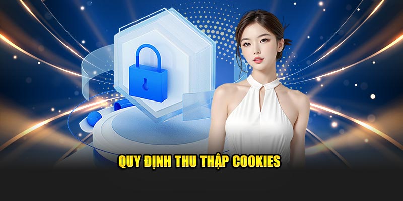 Quy định thu thập cookies