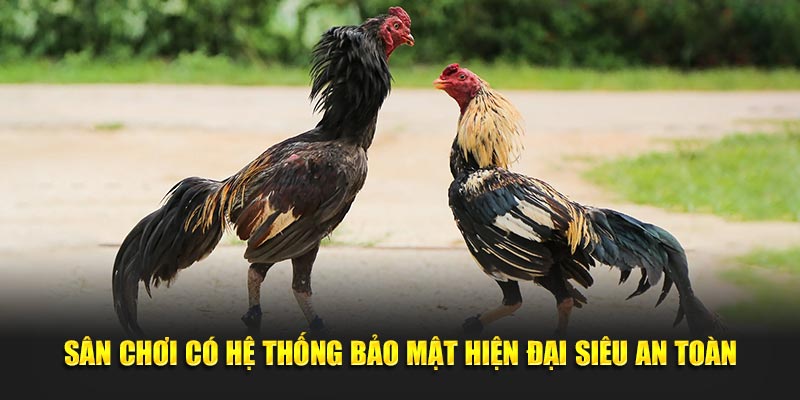 Sân chơi có hệ thống bảo mật hiện đại siêu an toàn