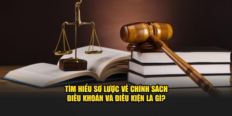 Tìm hiểu sơ lược về chính sách điều khoản và điều kiện là gì?